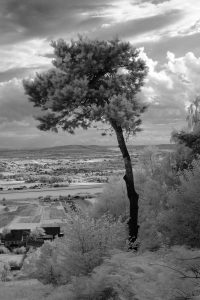 Góra Klonówka - pamięci kolegów z Świętokrzyskiego ZPAF