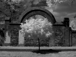 brama cmentarza żydowskiego w Łodzi