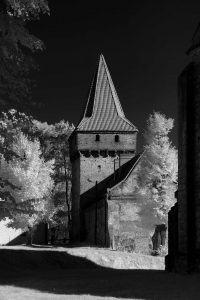 Opactwo Cystersów w Sulejowie