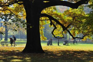 Park Źródliska w Łodzi