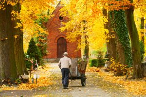 cmentarz ewangelicki w Piotrkowie